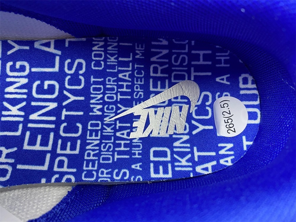 Nike Dunk Low “Jackie Robinson” DV2122-400