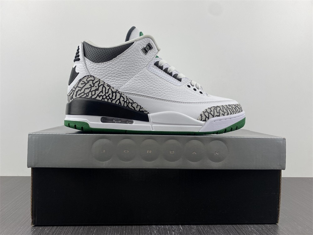 Air Jordan 3 Retro Oregon Ducks Pit Crew 594282-233