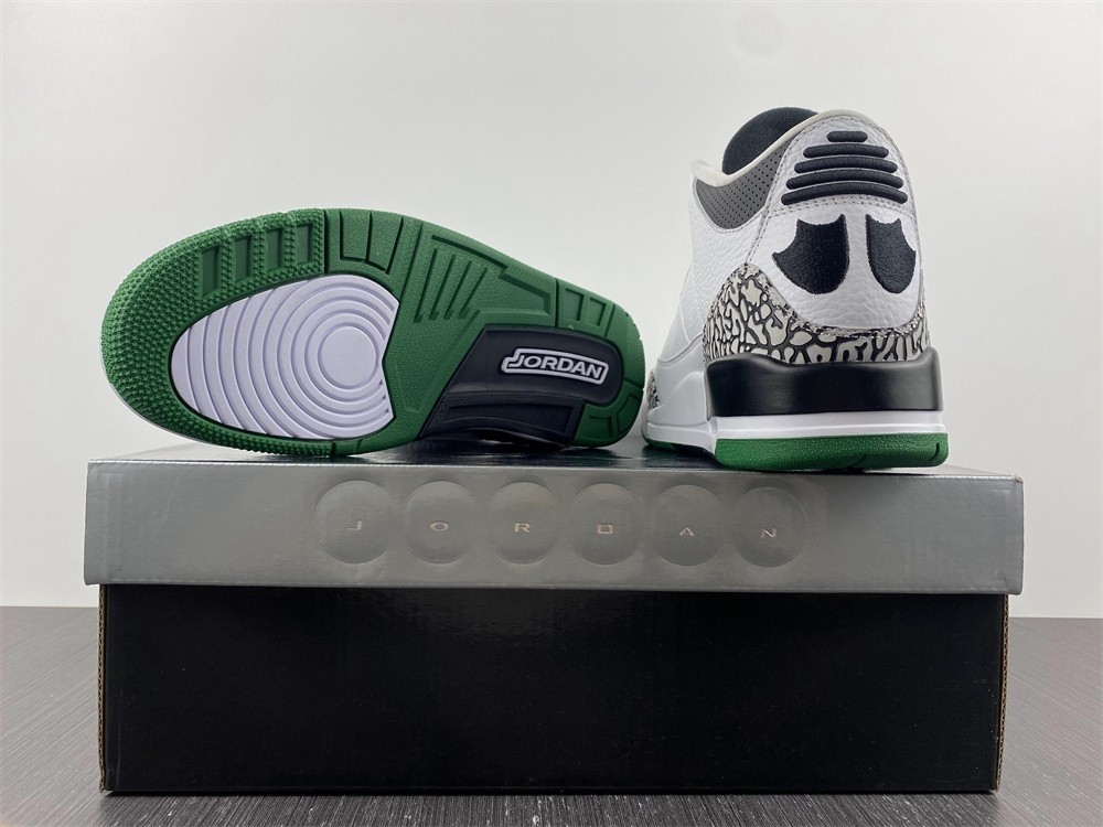 Air Jordan 3 Retro Oregon Ducks Pit Crew 594282-233