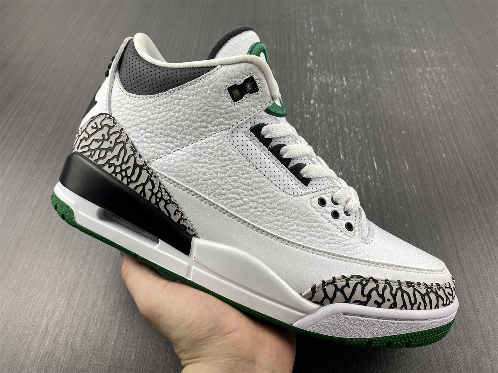 Air Jordan 3 Retro Oregon Ducks Pit Crew 594282-233