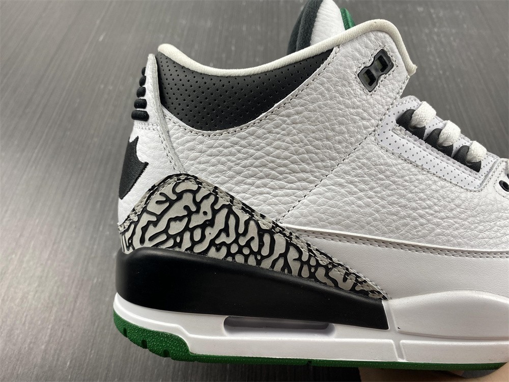 Air Jordan 3 Retro Oregon Ducks Pit Crew 594282-233