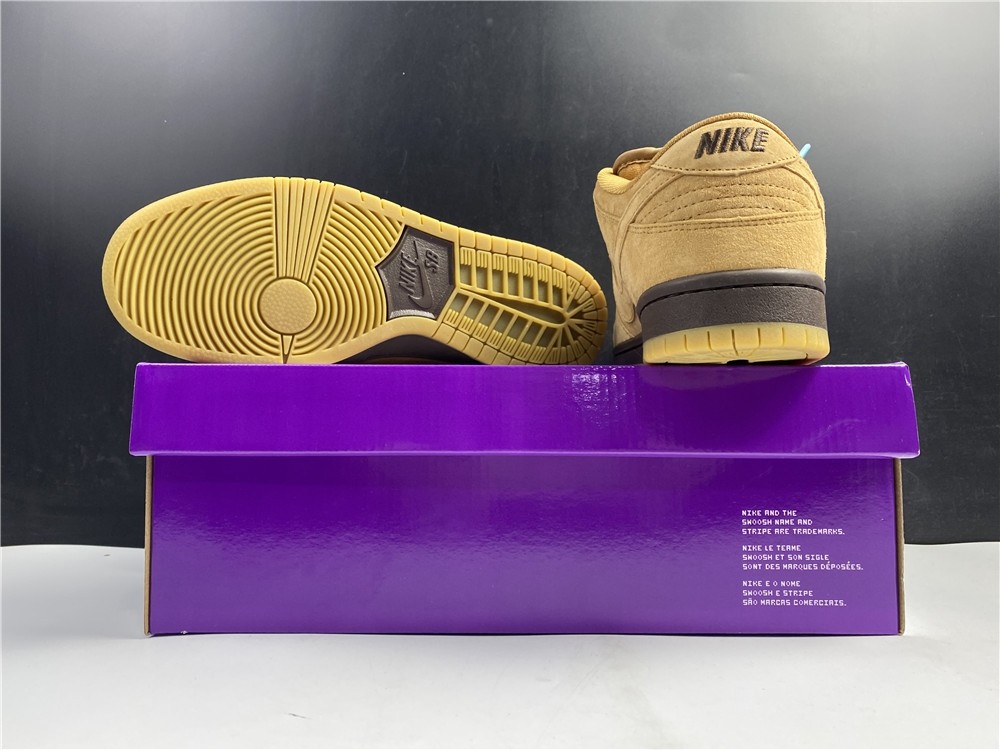 Nike SB Dunk Low Pro BQ6817-204