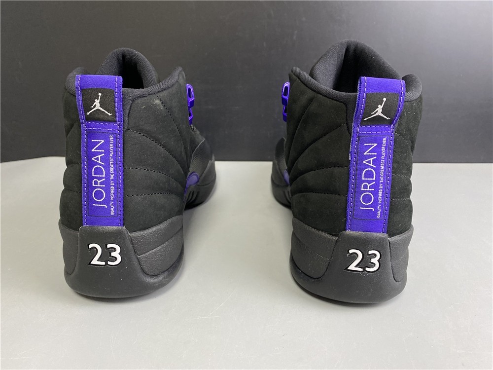 Air Jordan 12 “Dark Concord” CT8013-005