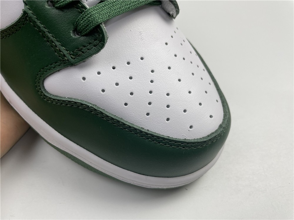 Nike DUNK Low Retro DD1391-101