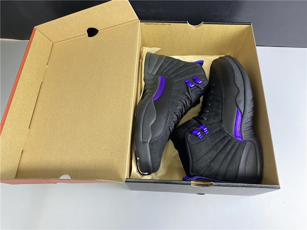 Air Jordan 12 “Dark Concord” CT8013-005