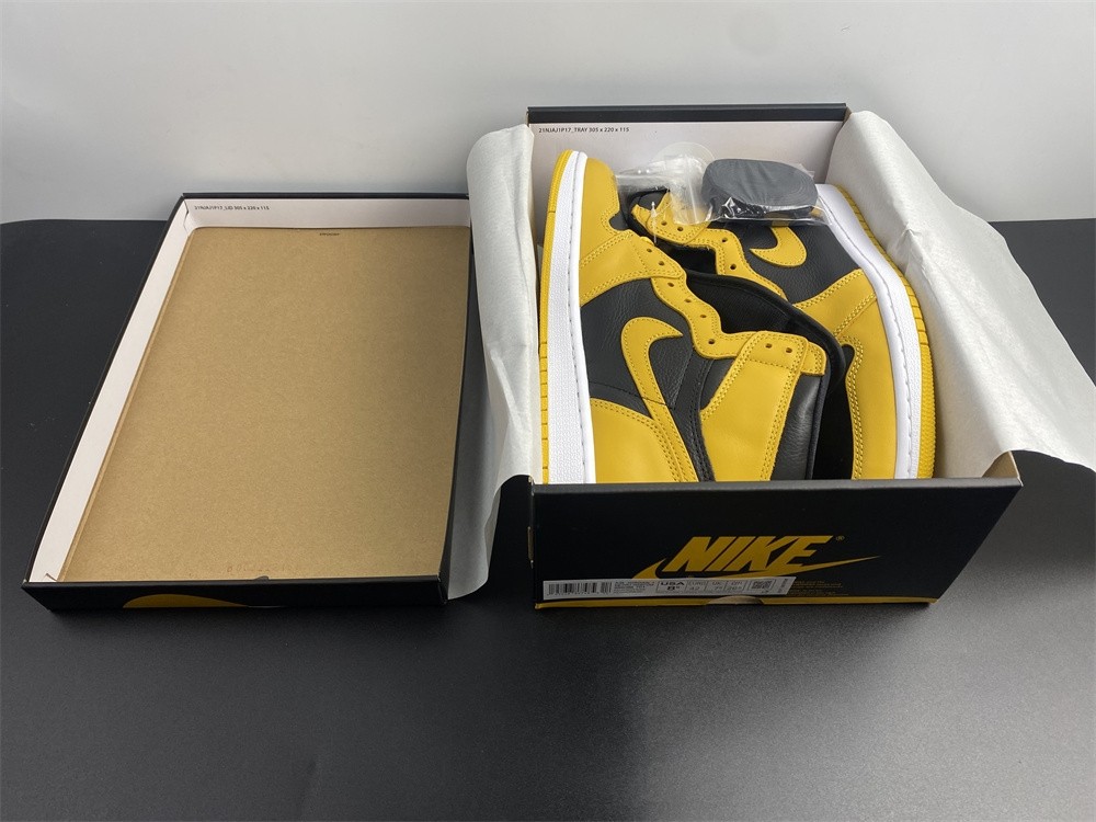 Air Jordan 1 High OG “Pollen" E 555088-701