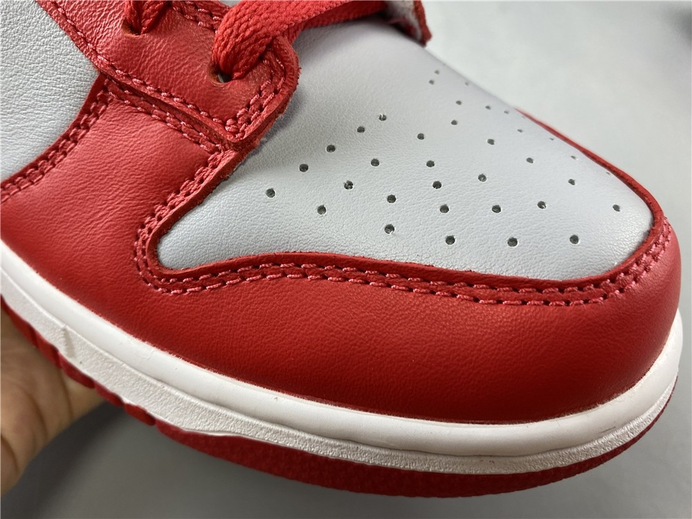 Nike Dunk Low SB CU1726-600