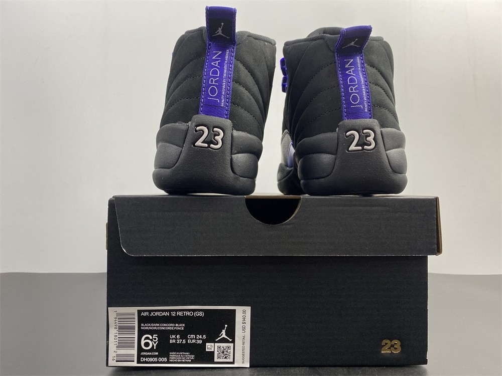 Air Jordan 12 “Dark Concord” CT8013-005