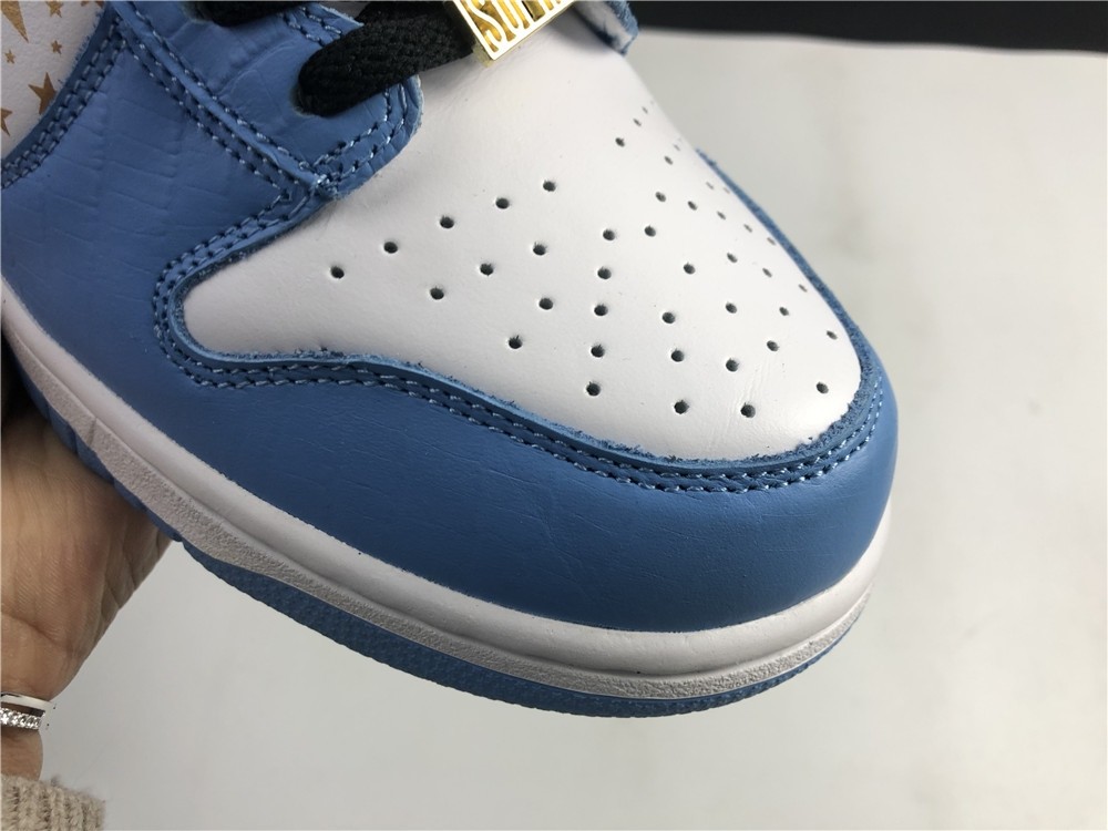 Nike SB DUNK High PRO 307385-141