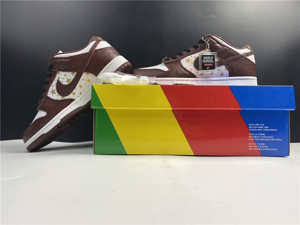 S*p*e x Nike SB Dunk Low DH3228-100
