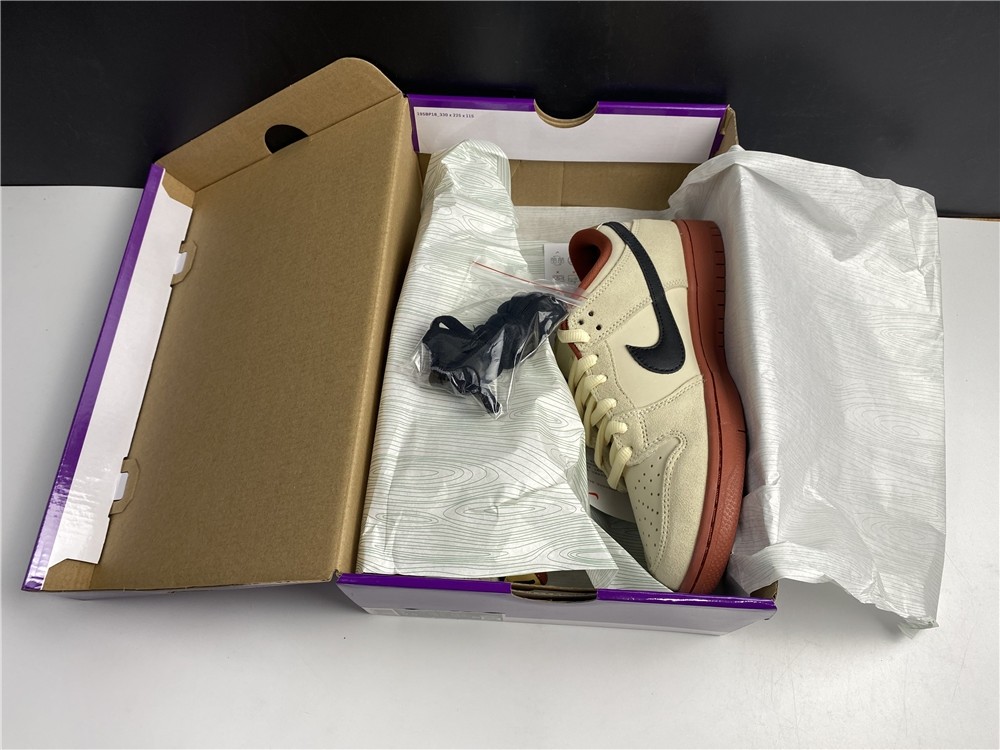 Nike SB Dunk Low  BQ6817-100