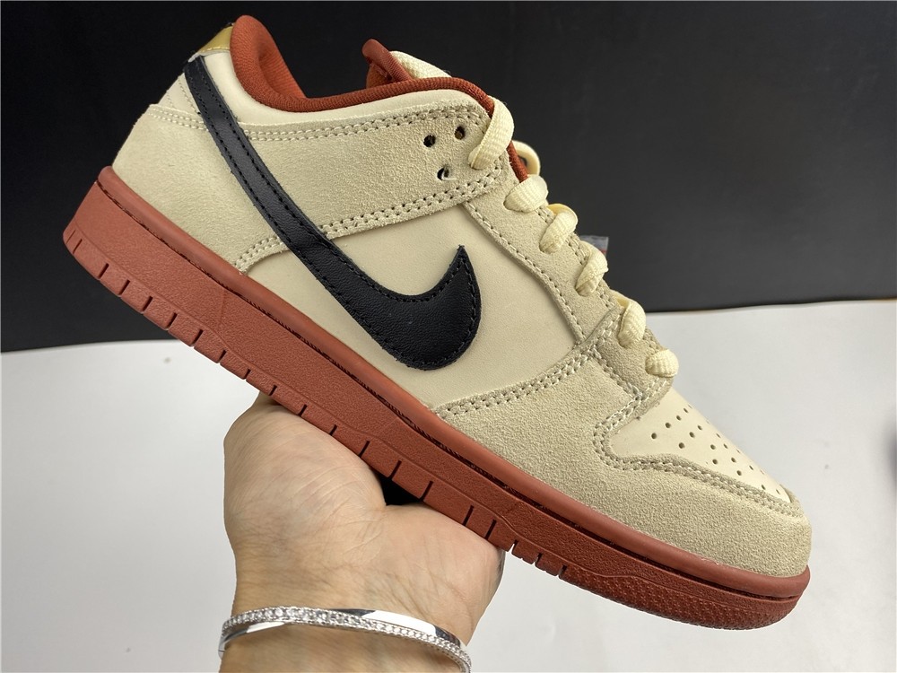 Nike SB Dunk Low  BQ6817-100