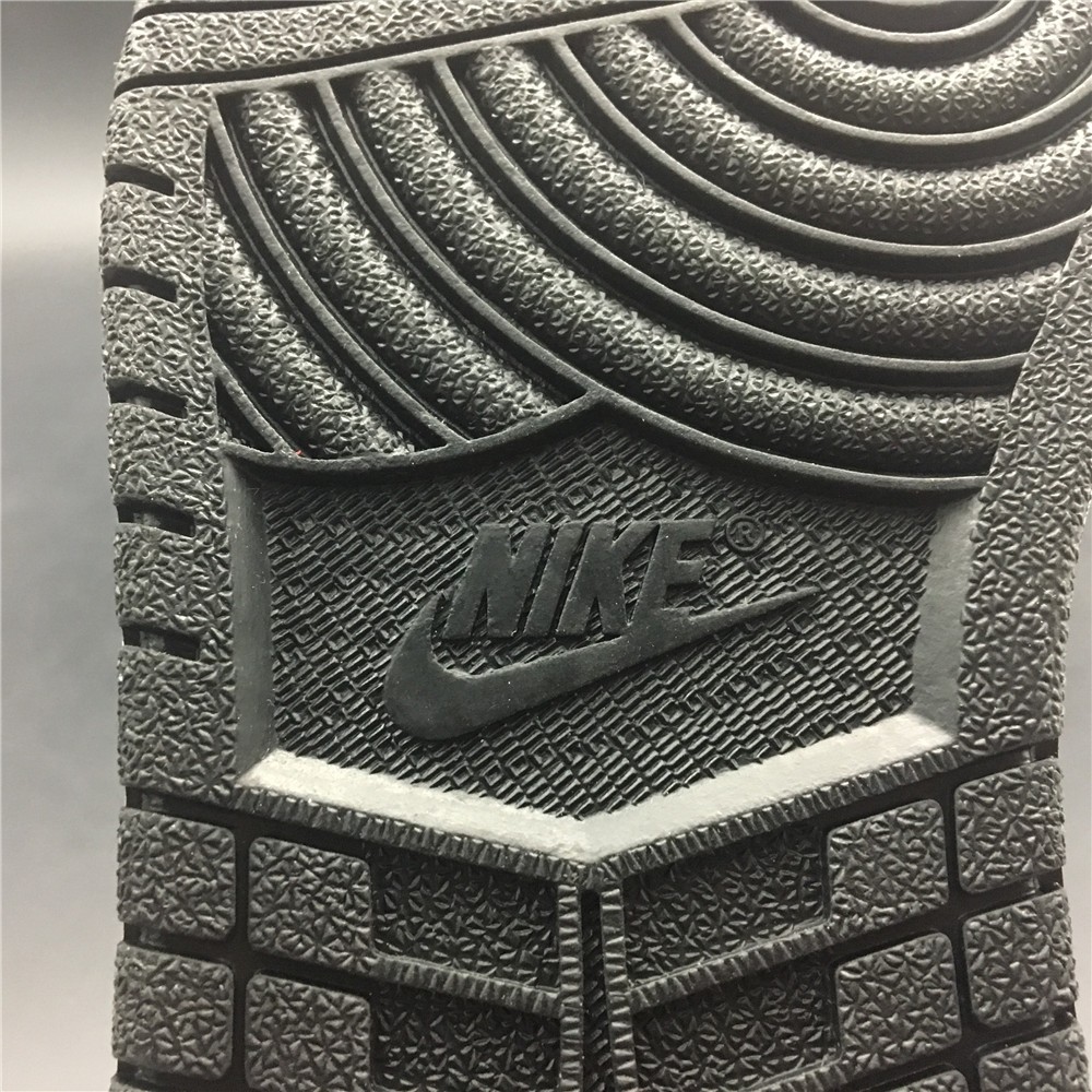 Air Jordan 1 Rookie of the Year 555088-700