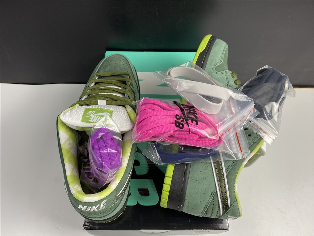 Nike SB Dunk Low x Concepts BV1310-337