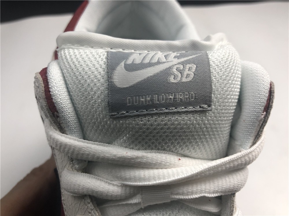 Nike dunk sb low Roller Derby 313170-601