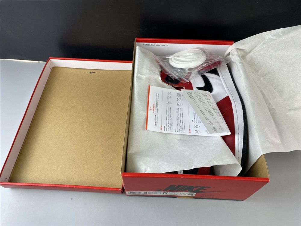 AIR JORDAN 1 HIGH OG “SATIN SNAKE” CD0461-601