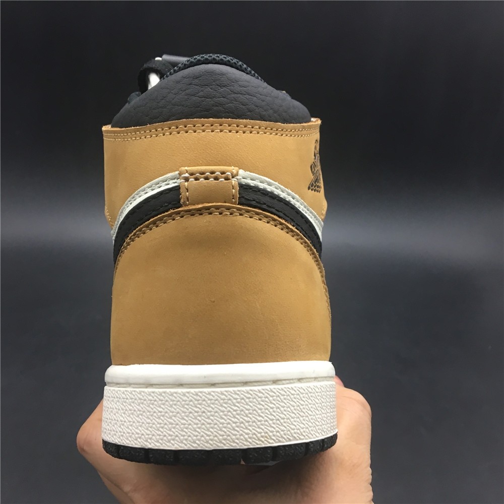 Air Jordan 1 Rookie of the Year 555088-700