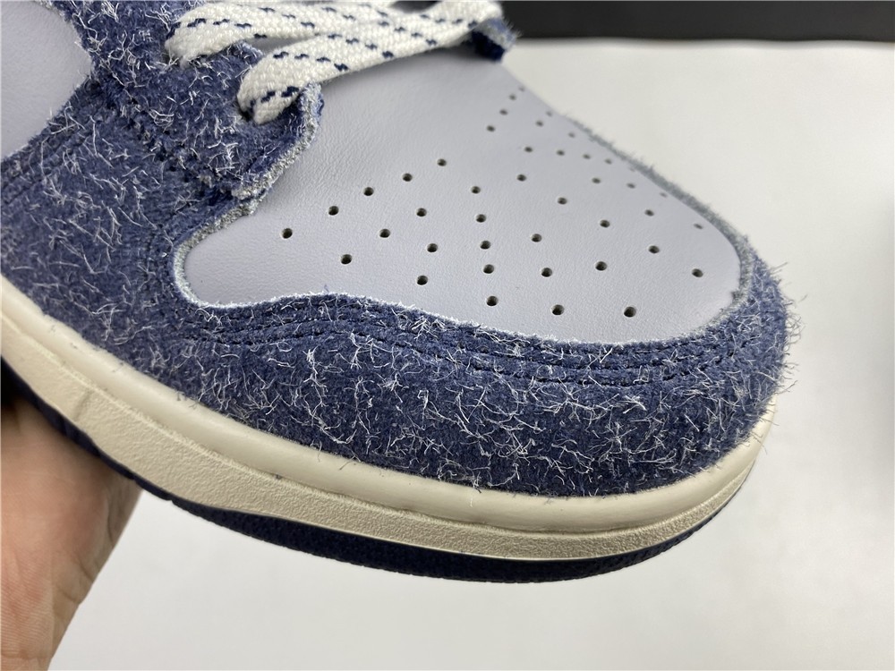 NIKE SB Dunk High CW3092-400