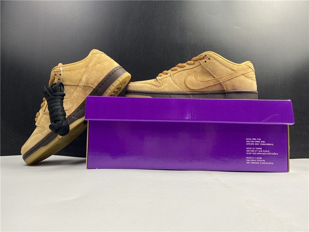 Nike SB Dunk Low Pro BQ6817-204