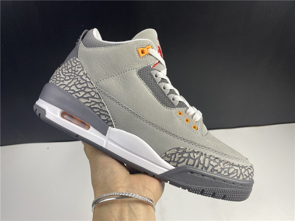 Air Jordan 3``Cool Gray