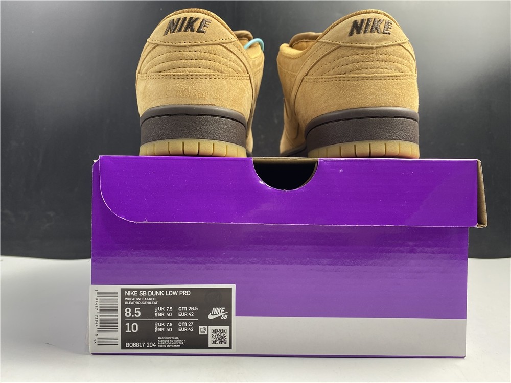 Nike SB Dunk Low Pro BQ6817-204