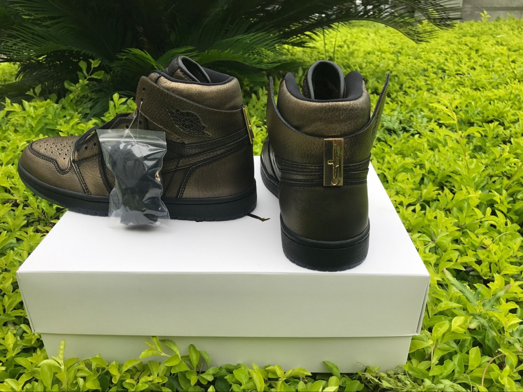 Air Jordan 1 Ret High OG Wings AA2887-035