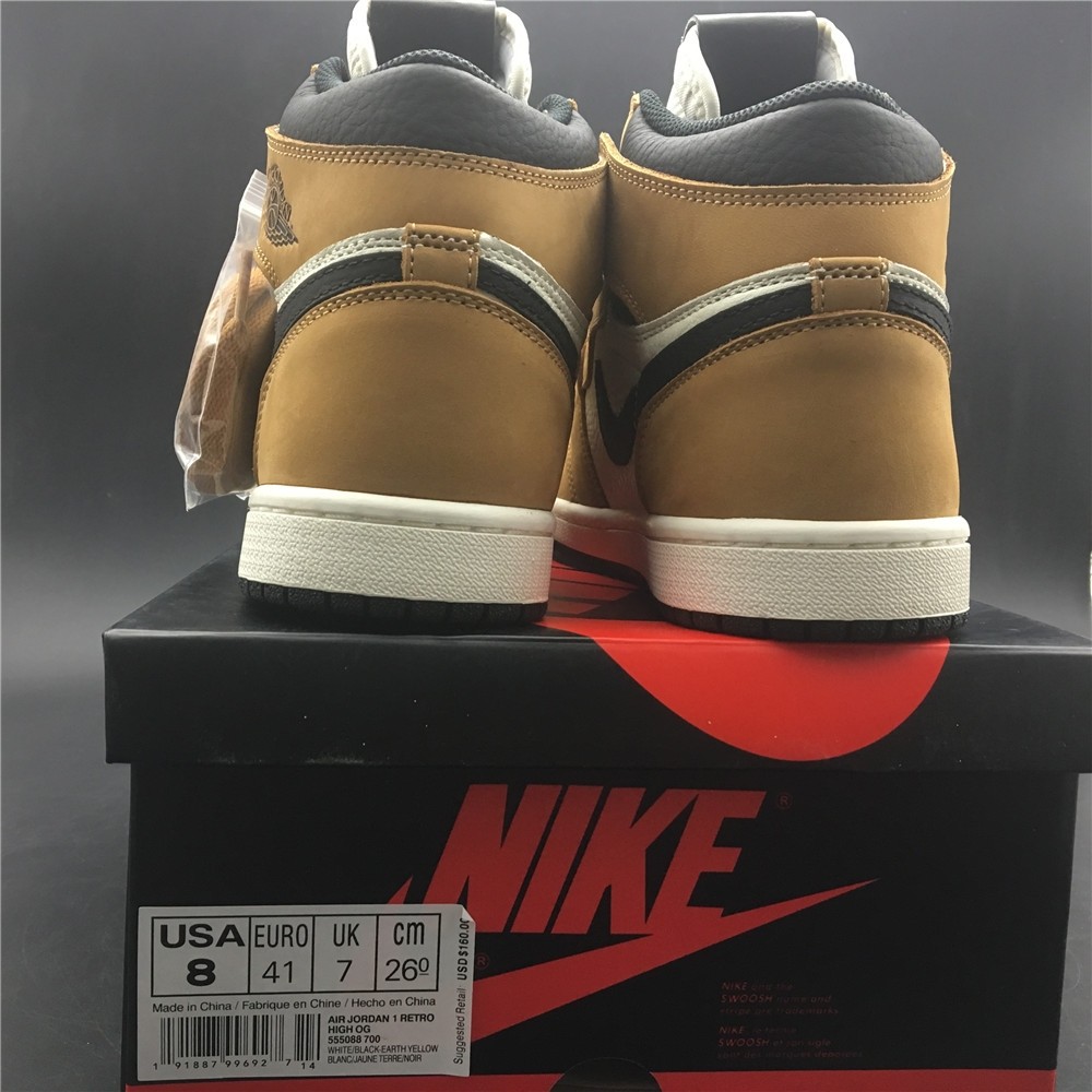Air Jordan 1 Rookie of the Year 555088-700