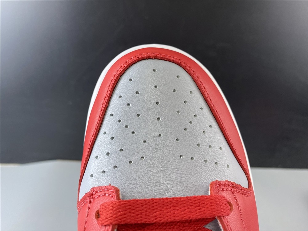 Nike Dunk Low SB CU1726-600