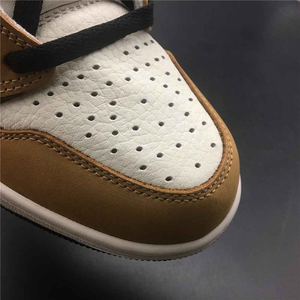 Air Jordan 1 Rookie of the Year 555088-700