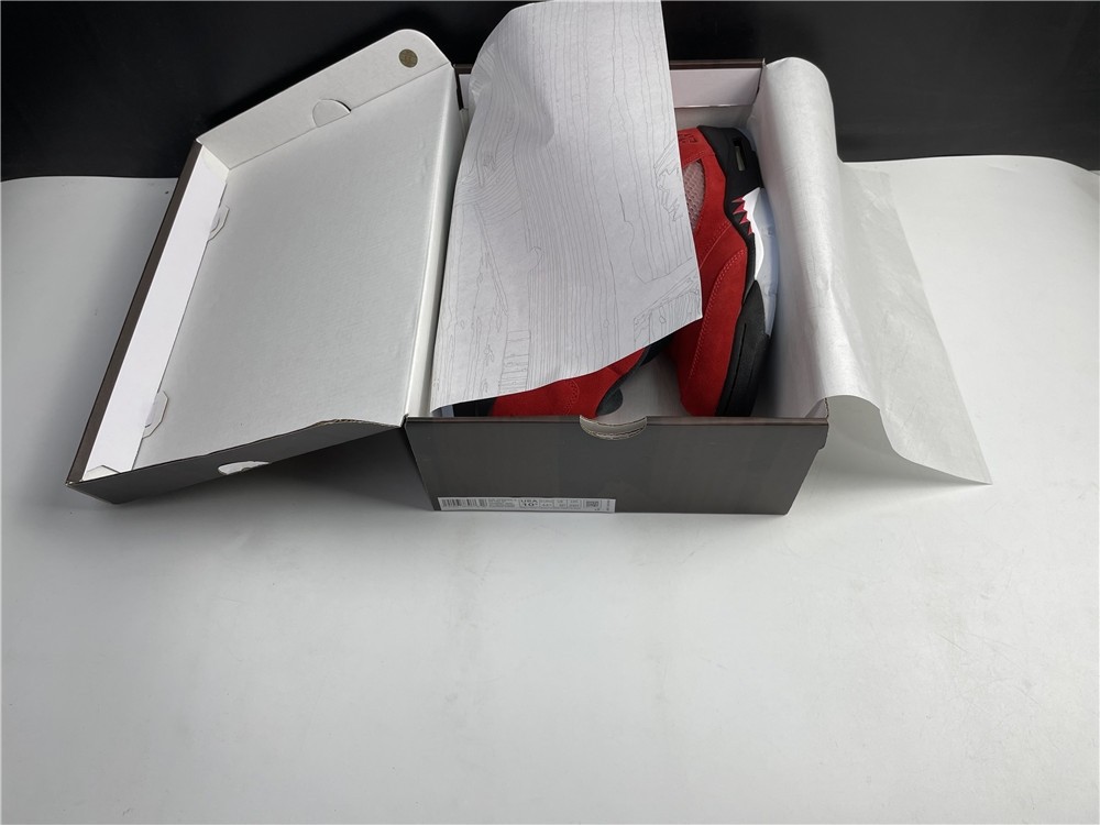Air Jordan 5 “Raging Bull” Y DD0587-600