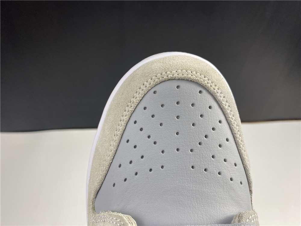 Nike Dunk SB L TRD TOM AR0778-110