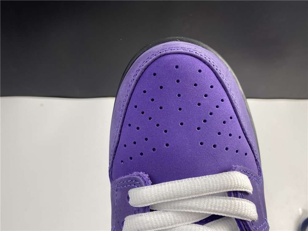 Concepts x NK SB Dunk Low "Purple Lobster" BV1310-555