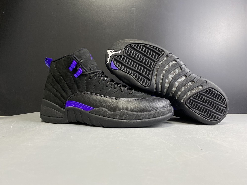 Air Jordan 12 “Dark Concord” CT8013-005
