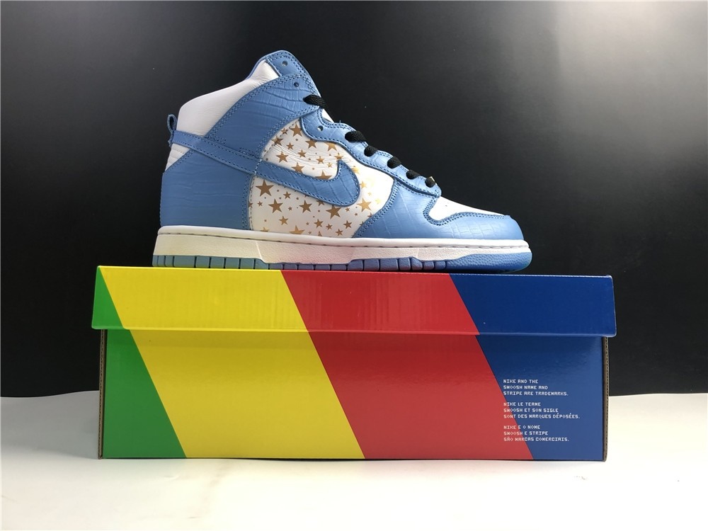 Nike SB DUNK High PRO 307385-141