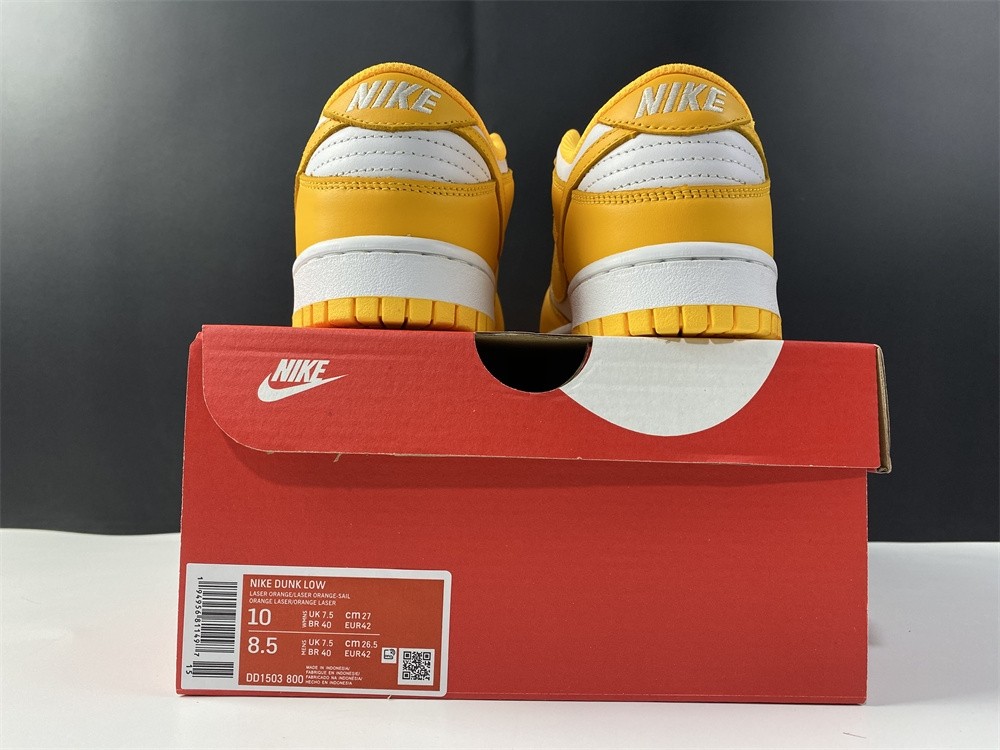 NIKE DUNK LOW DD1503-800