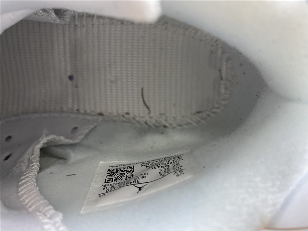 Jordan 6 Retro Alligator (GS) - 384665-110