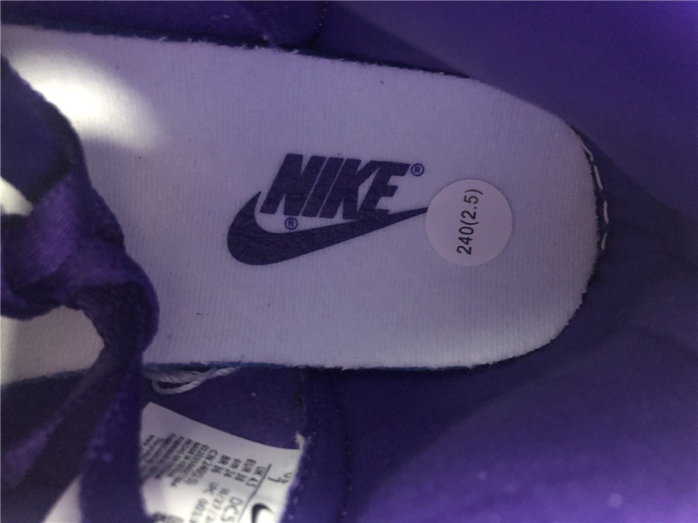 Nike Dunk High WMNS “Varsity Purple” DC5382-100