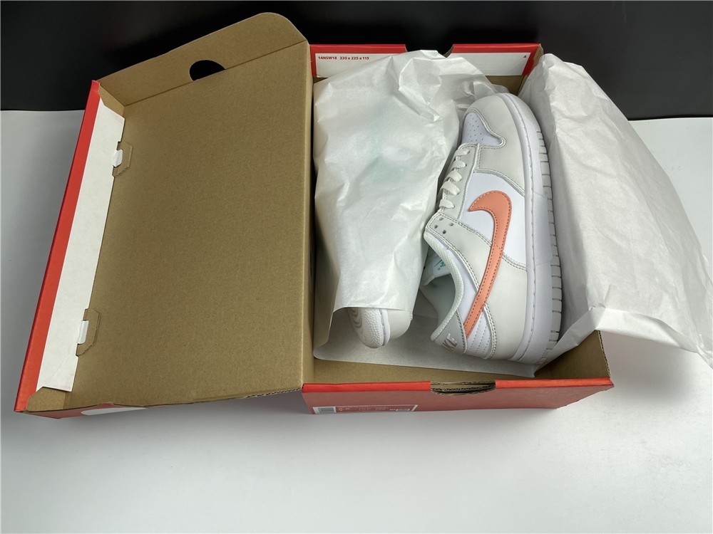 Nike Dunk Low CW1590-101