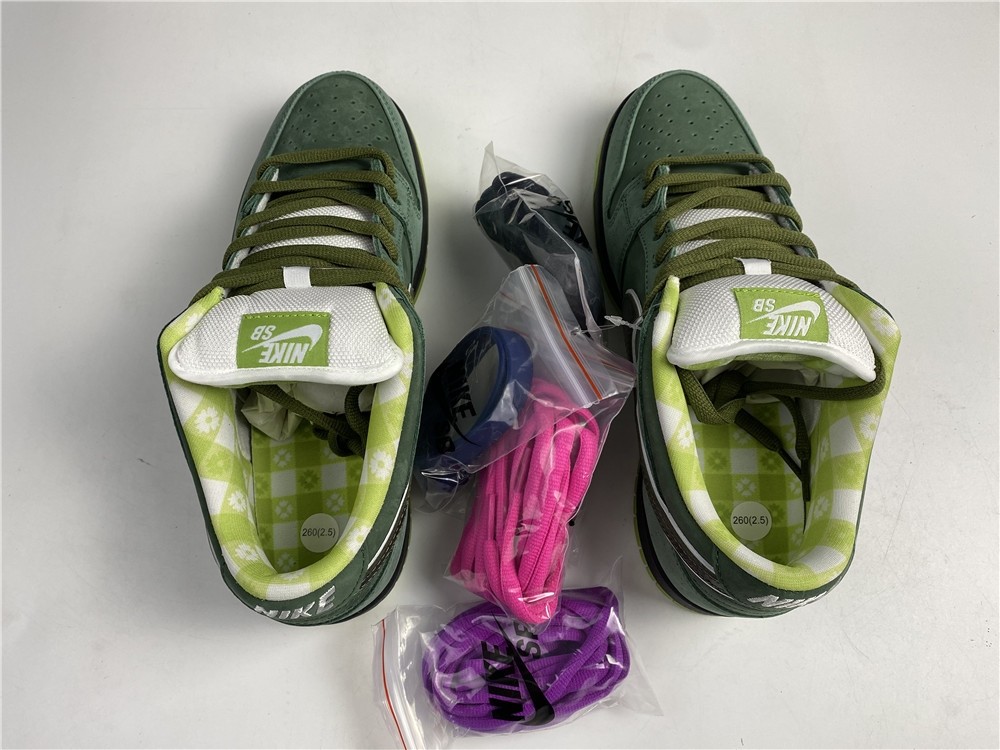 Nike SB Dunk Low x Concepts BV1310-337