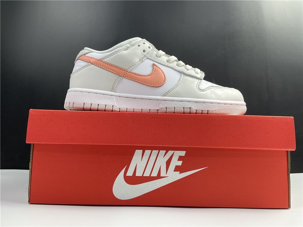 Nike Dunk Low CW1590-101