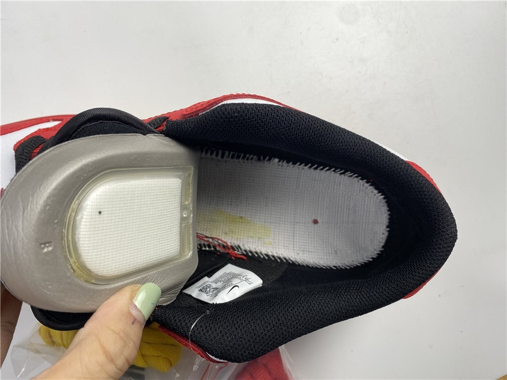 Nike SB Dunk Low 25TH 309242-307