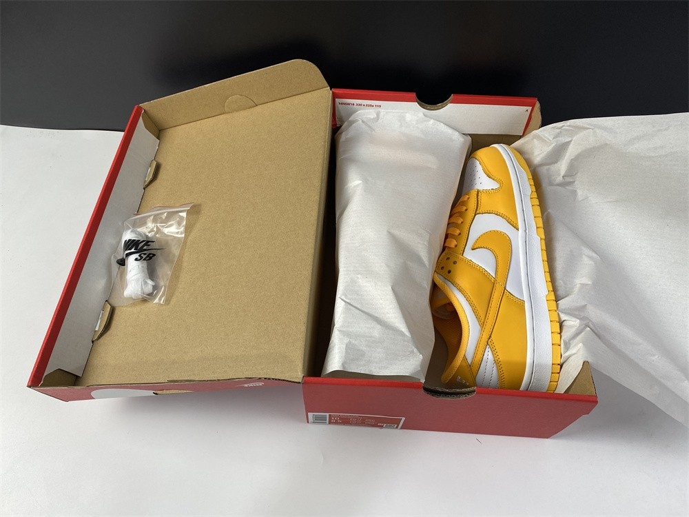 NIKE DUNK LOW DD1503-800