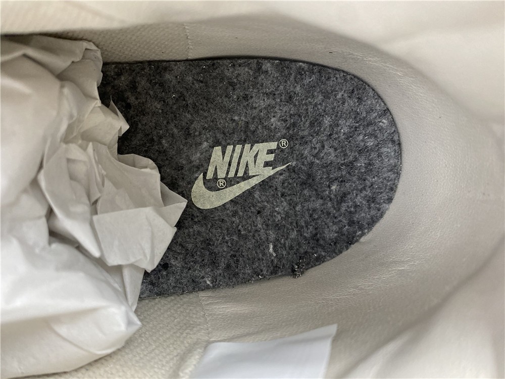 NIKE SB Dunk High CW3092-100