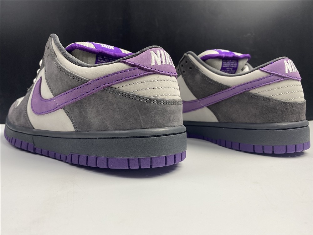 NIKE DUNK LOW PRO SB 304292-051