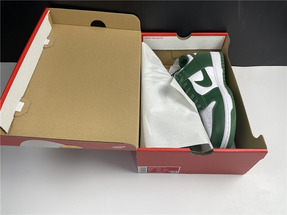 Nike DUNK Low Retro DD1391-101