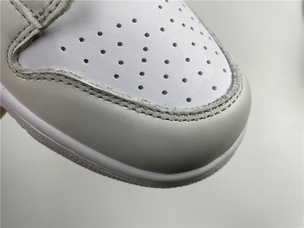 Nike Dunk Low CW1590-101