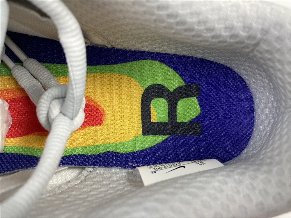 Nike Dunk Low x Cactus Plant Flea Market H CZ2670-001