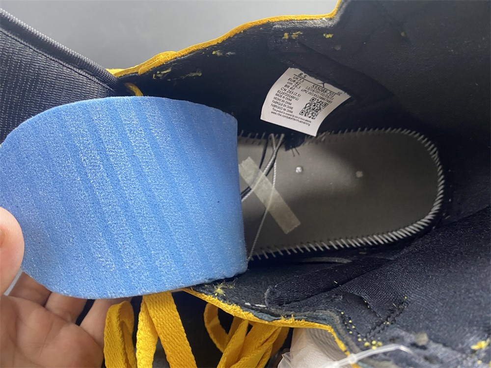 Air Jordan 1 High OG “Pollen" E 555088-701