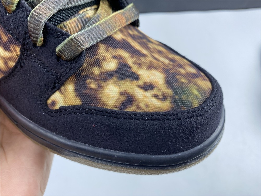 Nike Sb Dunk Low Permium 536356-002
