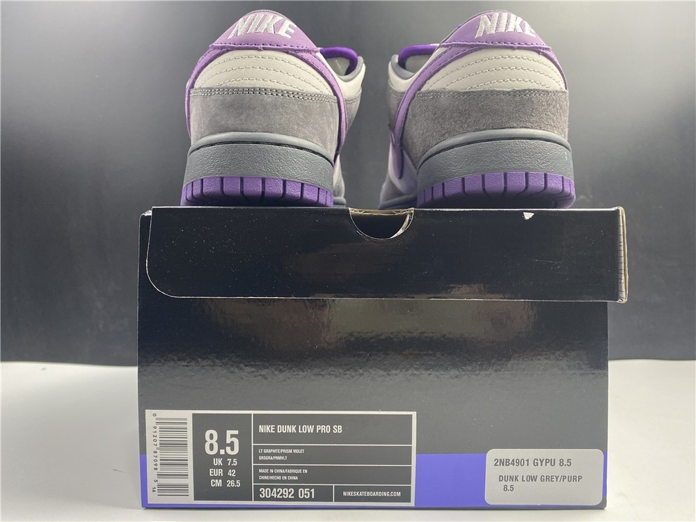 NIKE DUNK LOW PRO SB 304292-051